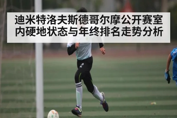 迪米特洛夫斯德哥尔摩公开赛室内硬地状态与年终排名走势分析